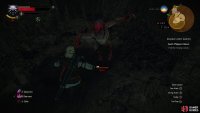 Kill some more Nekkers in a pit,