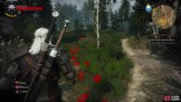 Track the hunter into the woods,