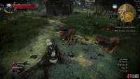 Head to the cemetery and kill some Rabid Dogs,
