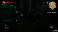Be wary, as a Water Hag lurks in the center of the main chamber.