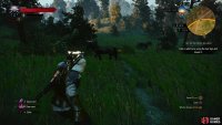 Approach the search area and get close enough to a horse for its name to pop up, then hit it with Axii.