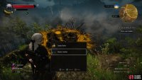 Kill the flying menaces and loot a nest to score the Raven’s Feather you’re after, along with a Sealed Bottle.