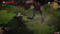 and if you’re unlucky, a Wyvern.