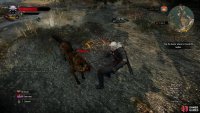 Fend off a pack of wolves southeast of the Nilfgaardian Garrison,