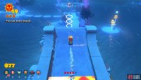 The location of the fifth Cat Shine Shard