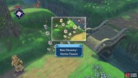 Check out the Morino Flowers discovery by the Turtlez NPC.