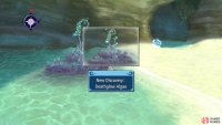 The Deathglow Algae is the other, and is found towards the end of the dungeon.