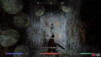 Speak with Arvel the Swift and cut him down.