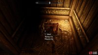 Use the Trap Door Key to exit the dungeon through the cave below.