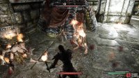 You’ll encounter numerous Falmer as you delve deeper into the ruins.