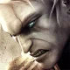 The Witcher (2007)
