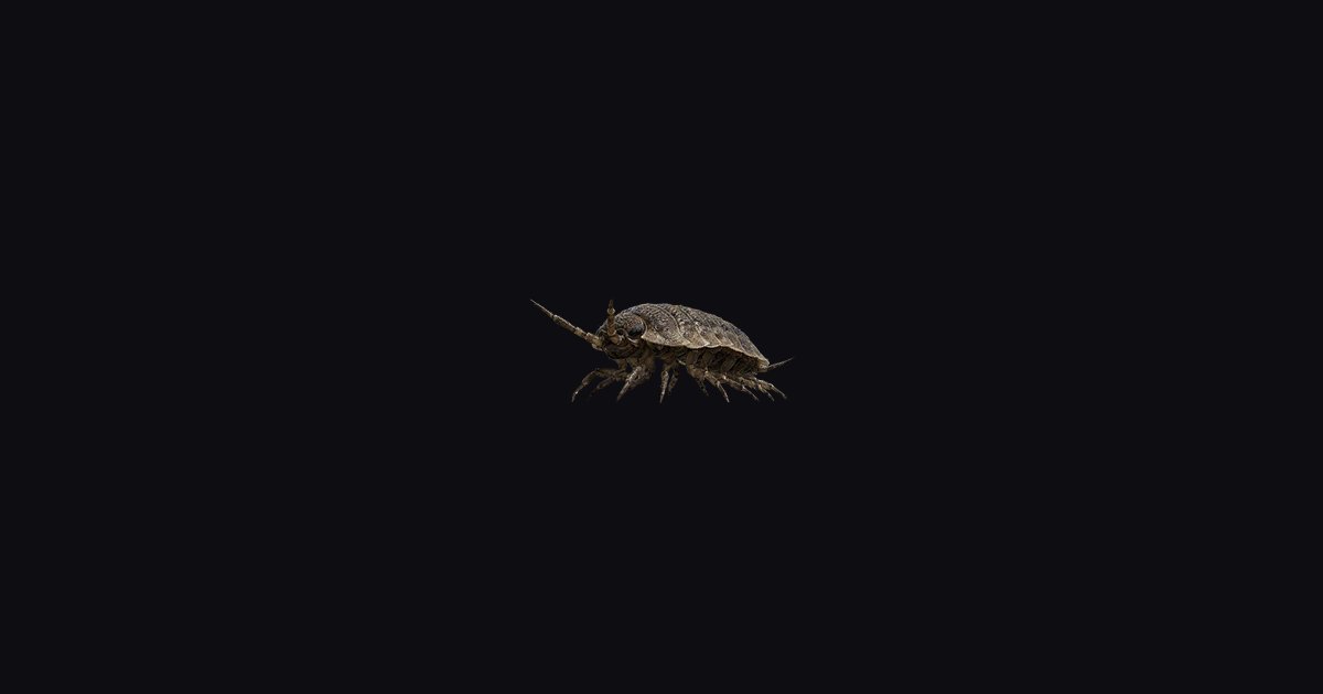 Wharf Roach - Crimson Desert Database | Gamer Guides®