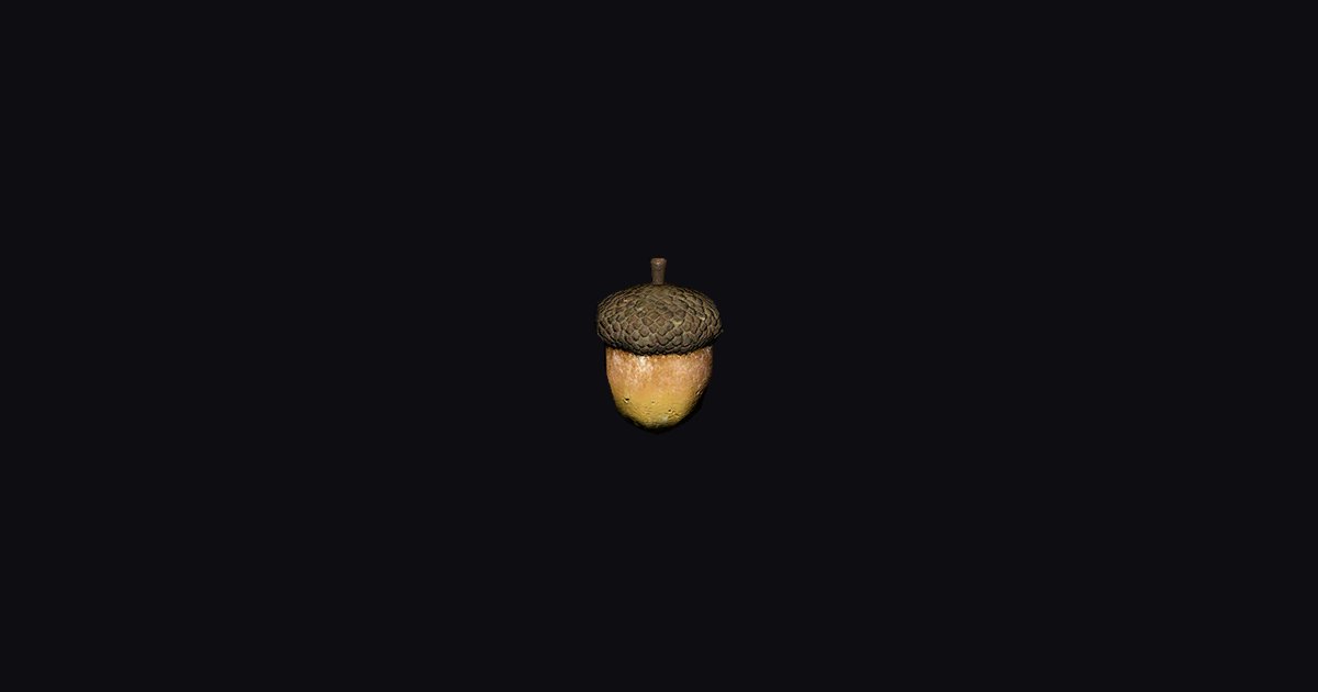 Acorn - Crimson Desert Database | Gamer Guides®