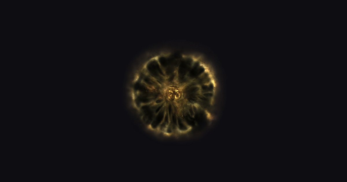 Shadow Realm Rune [3] - Elden Ring: Shadow of the Erdtree Database ...