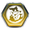 Trophy/Achievement Icon