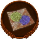 Trophy/Achievement Icon