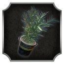 Trophy/Achievement Icon