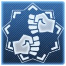 Trophy/Achievement Icon