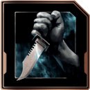 Trophy/Achievement Icon
