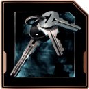 Trophy/Achievement Icon