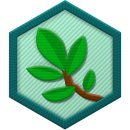 Trophy/Achievement Icon