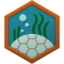 Trophy/Achievement Icon