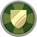 Trophy/Achievement Icon