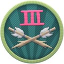 Trophy/Achievement Icon