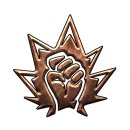 Trophy/Achievement Icon