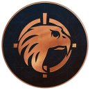Trophy/Achievement Icon