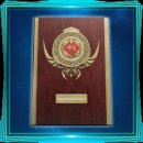 Trophy/Achievement Icon
