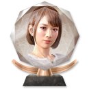 Trophy/Achievement Icon
