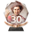 Trophy/Achievement Icon