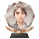 Trophy/Achievement Icon