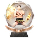 Trophy/Achievement Icon
