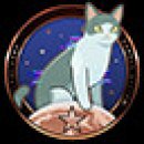 Trophy/Achievement Icon