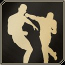 Trophy/Achievement Icon