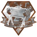 Trophy/Achievement Icon