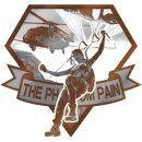 Trophy/Achievement Icon