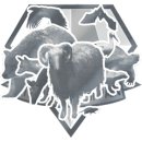 Trophy/Achievement Icon