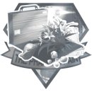 Trophy/Achievement Icon