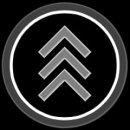 Trophy/Achievement Icon