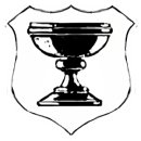 Trophy/Achievement Icon